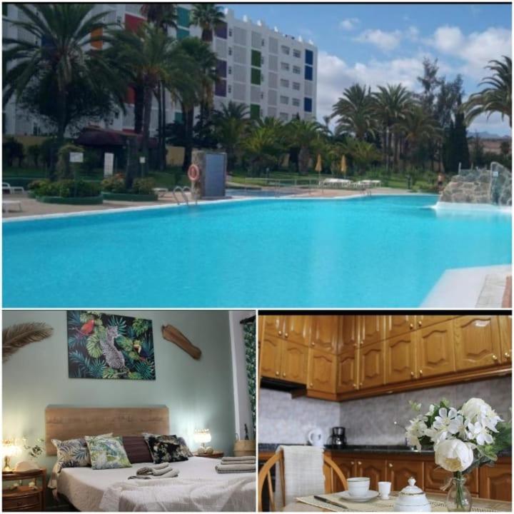 דירות פלאייה דל אינגלז Agaete Park Tropical Style מראה חיצוני תמונה